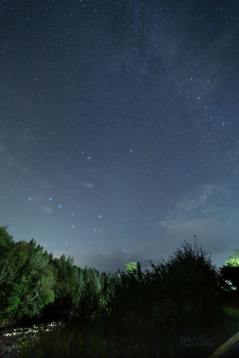 Discover Country Harvest Ingleton: North Yorkshire's Award-Winning Gem